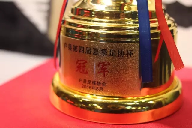官方：西海岸U20队官员陆天洋辱骂裁判，被禁止进入体育场馆7场