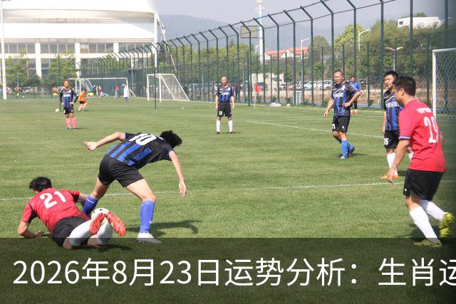 2026年8月23日运势分析：生肖运势与财运解析